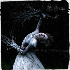 Saturion - Nightmare Agony (instrumental demo)