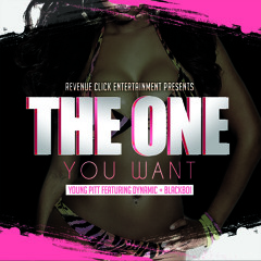 Young Pitt - The one you want(clean)