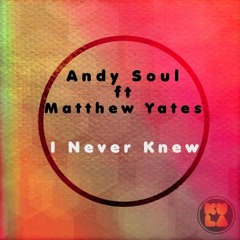 Andy Soul Ft Matthew Yates - I Never Knew (Topo Remix)