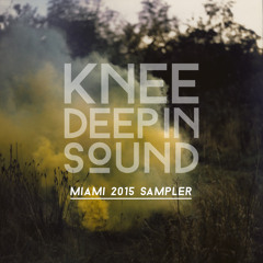 Knee Deep In Sound - Miami Sampler (Mixed by Hot Since 82)