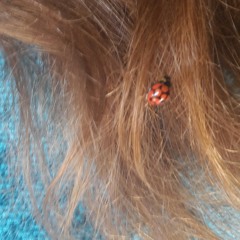 Making a tit of myself for your entertainment. I don't sound half bad doing it, I might add :) at My Car