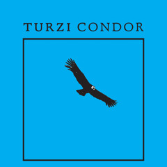 Turzi - Condor (Condom Remix, by Turzi Electronique Expérience)