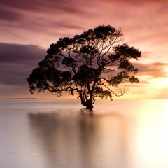 J.U.S.T. - Love Me Now