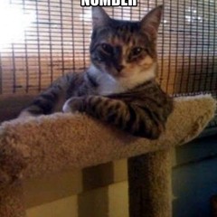 Girl Can I Get Your Number