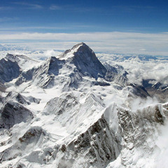 FLEX ZONE TYZNCHECKS VISION II