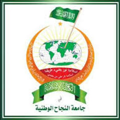 درع النجاح