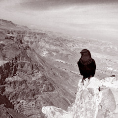 Violent's Double (IV)