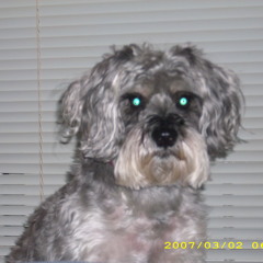 April 18th ft Yung Bacco