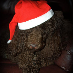 just chillin ♪