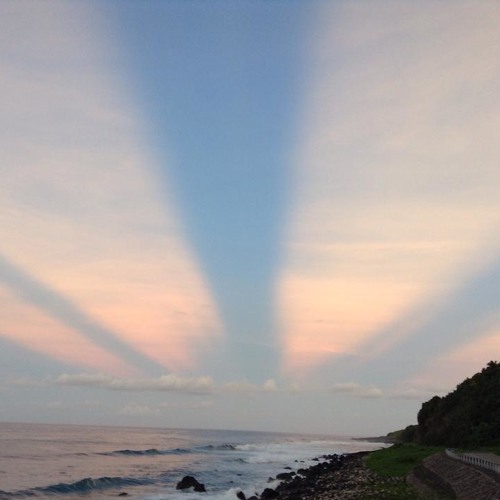 What are words (Samoan version)