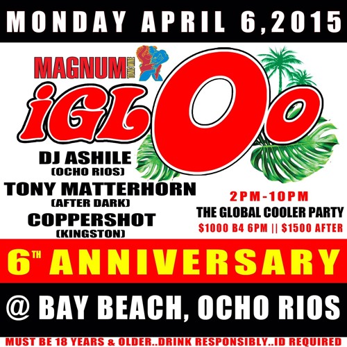 IGLOO 6TH ANNIVERSARY (OCHI)(COPPERSHOT/ ASHILE/ TONY MATTERHORN)