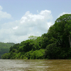 Parque Nacional Sierra Del Lacandón