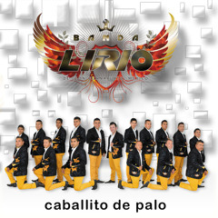 Caballito De Palo