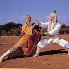 Shaolin Shadow Boxing(instrumental)