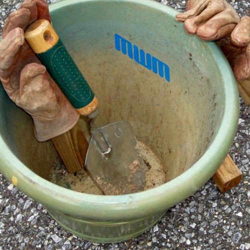 Aggression/Restriction