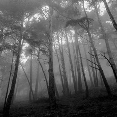 Desolation Mix 23-06-10