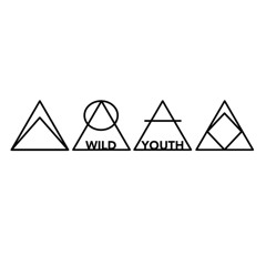 Wild Youth Future House Radio Mix