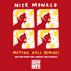 Nick Monaco - She Got That Fire (Jeremy Sole Remix)