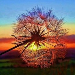 Cry me à river .Justin  timberlake  kizomba rmx