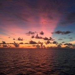 Robbie Lowe // SPICE // Elizabeth St Sydney // The Last Dance // April 2015