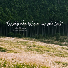 ما تيسر من سورة البقره هزاع البلوشي