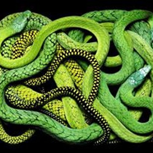 Haus Arafna - Geburt