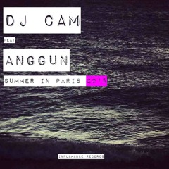 Dj Cam - Summer In Paris (Dima  Studitsky Remix)