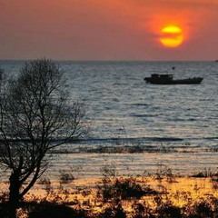 ~~我的未来不是梦~~