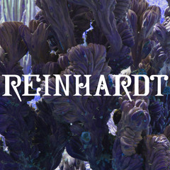 Reinhardt Records Mixtape for KALTBLUT Magazine