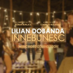 Lilian Dobanda - Înnebunesc