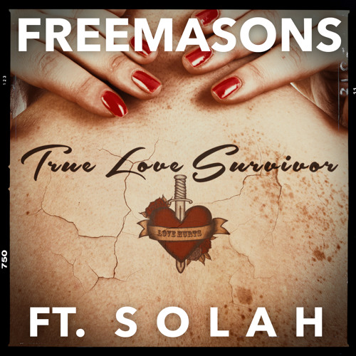Freemasons Feat. Solah - True Love Survivor (Radio Edit)