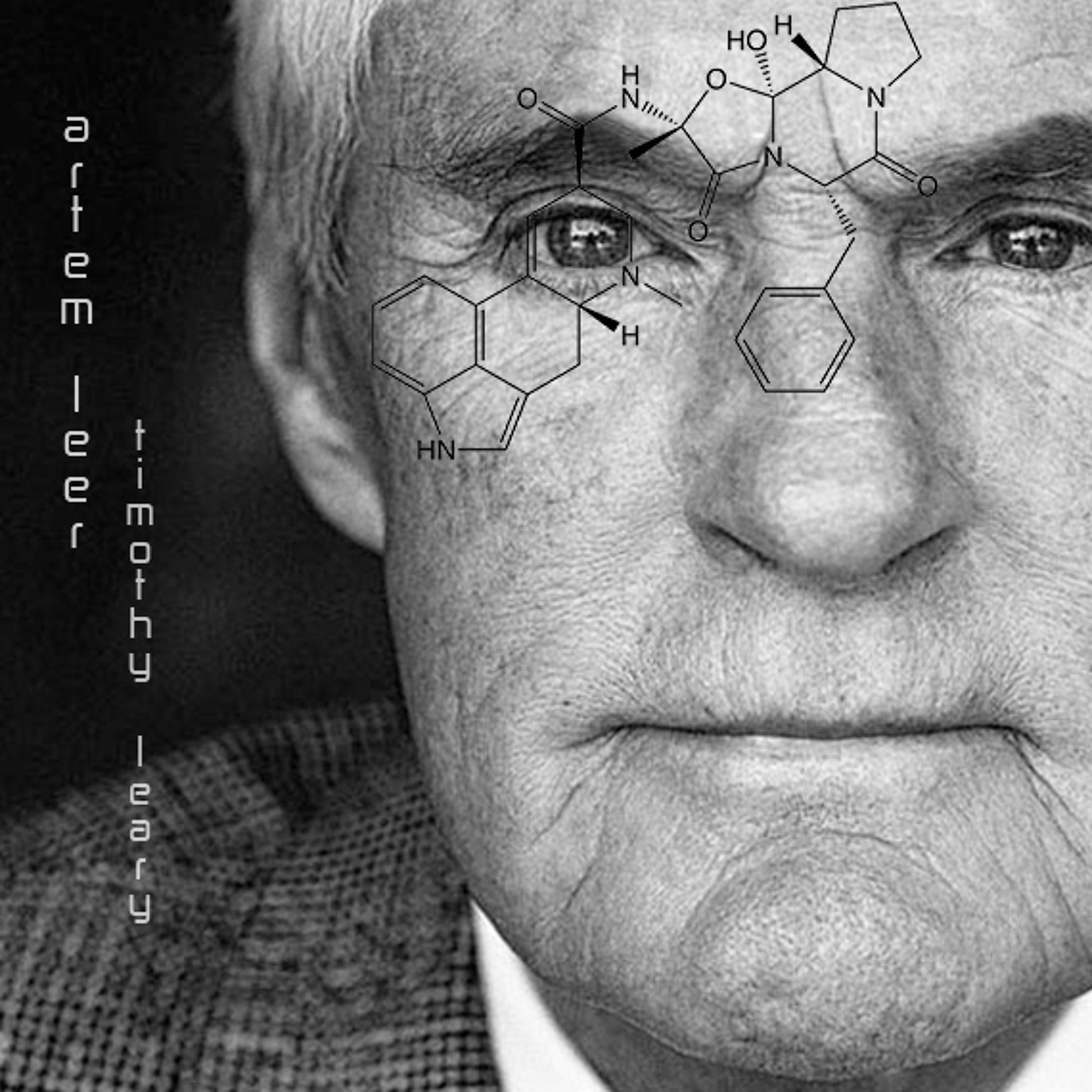 Artem Leer - Timothy Leary [FREE  Download |