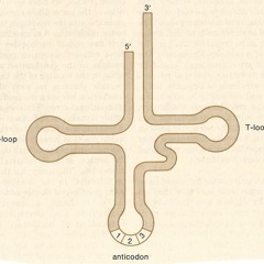 Ronald Ocog - 90 (demo)