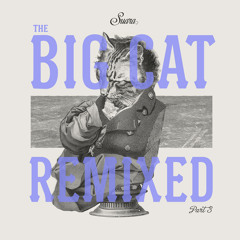 Coyu & Ramiro Lopez - Y.E.A.H (Mark Knight Remix)[Suara]