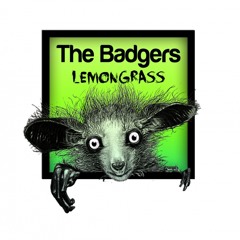 The Badgers - Lemongrass (Terry Whyte Dub Mix) Sc