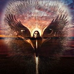 Bird Songs & Relaxing Music