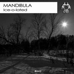 [NDIM007] 2 Mandibula - Der Große Pong (Original Mix)