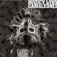 Señora Chichera - Música Para Camaleones