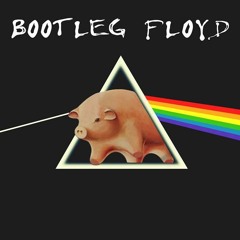 Time Teaser - Bootleg Floyd
