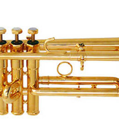 Contiez Feat. Treyy G - Trumpsta (Tom James remix)[FREE DOWNLOAD]