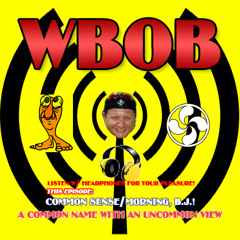 WBOB 032115032515 Ep 10 COMMON SENSE/MORNING B.J.!