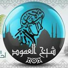 القصيدة المحمدية _ محمود هلال، الشيخ انس