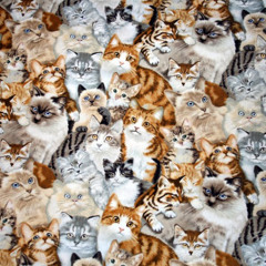 Cats (alternate meow mix)