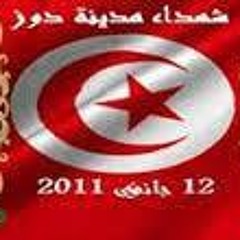 الفاضل بالطاهر: ماحدث في قضية شهداء و جرحى دوز جريمة و السياسيون باعو القضية