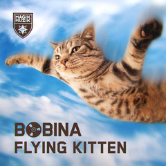 Bobina - Flying Kitten [ASOT 708, 'Future Favorite' ASOT 709]