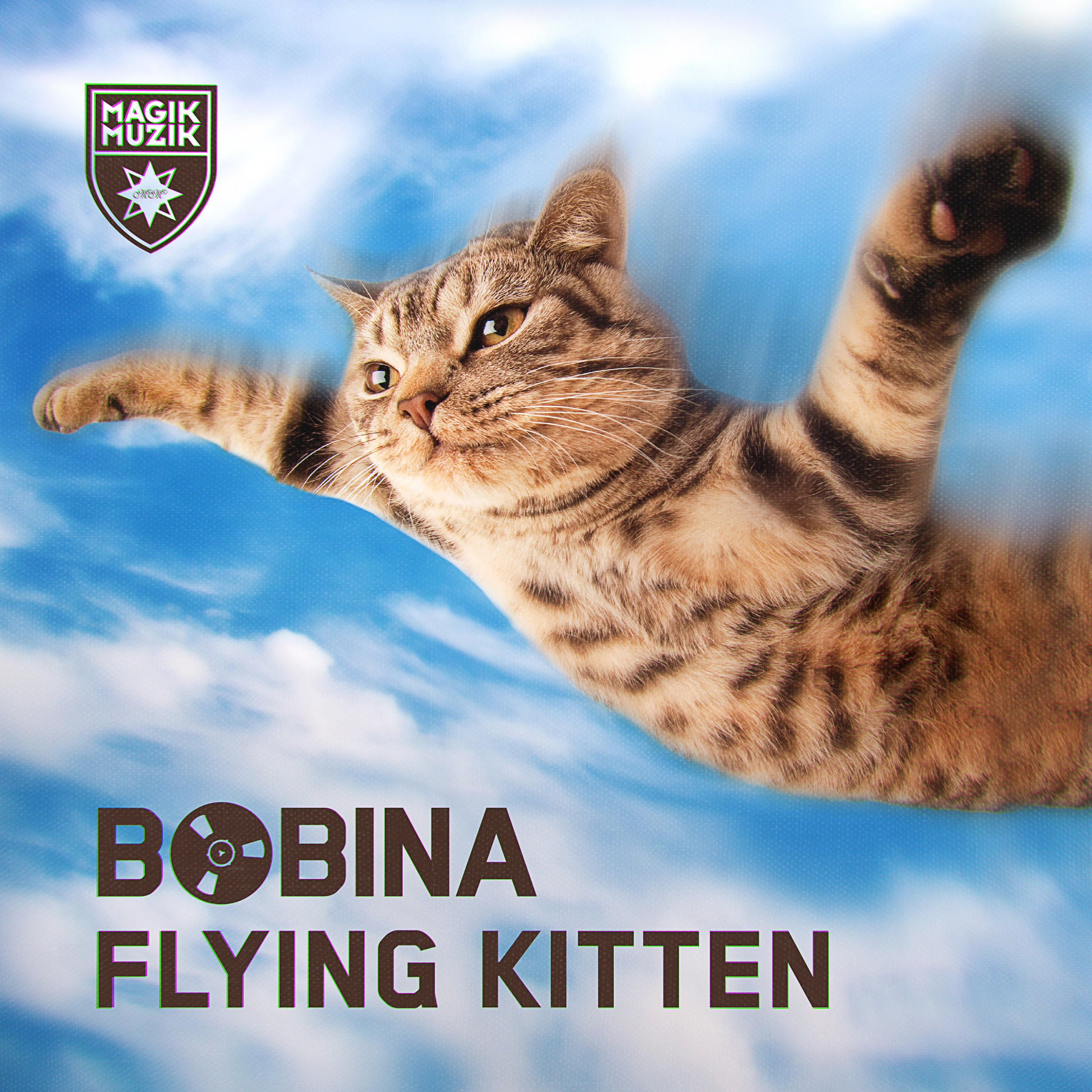 Bobina