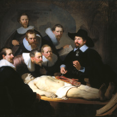 Anatomy Lesson for viola