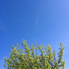 Robs New Song (with Vocals)