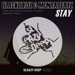 Black Birdz & Monrabeatz - Stay (Original Mix) [Sleazy Deep] OUT NOW !!!