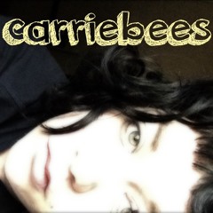 carriebees | $300 (soul coughing cover)